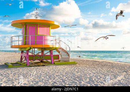 Cabine au lever du soleil sur Miami Beach, Floride, États-Unis avec mouettes Banque D'Images