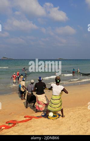 Filets de pêche traditionnels hauling Nilavelli plage , près de Trincomalee, province orientale, au Sri Lanka, en Asie Banque D'Images