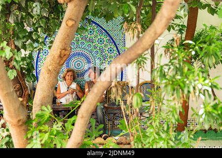 Les clients des cafés de la grande mosquée de Paris s'assoient à de petites tables à l'ombre des figuiers Banque D'Images