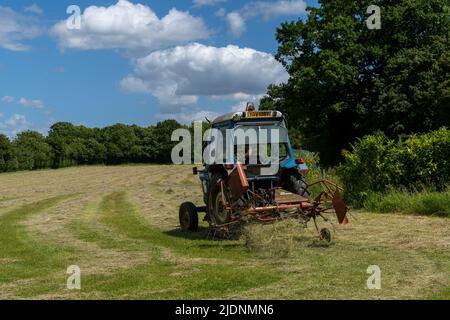 Wykeham, Royaume-Uni - 14 juin 2022 : agriculteur sur un vieux tracteur, fanant du foin lors d'une belle journée d'été sur une ferme dans l'est de l'Anglia Banque D'Images