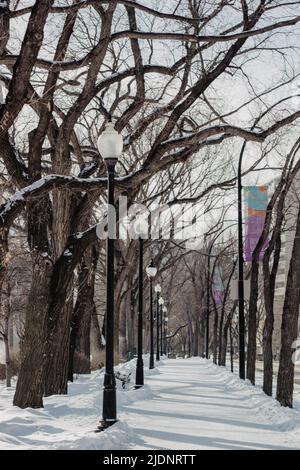 Promenade du centre-ville de Saskatoon en hiver Banque D'Images