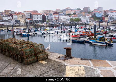 Espagne, Galice, Finisterre (Gallego: Fisterra) petit port de bateau. Banque D'Images