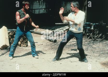 NORRIS,CARRADINE, Lone Wolf MCQUADE, 1983 Banque D'Images