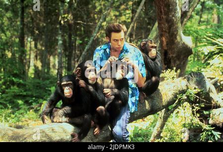 CARREY, chimpanzés, Ace Ventura : QUAND LA NATURE DES APPELS, 1995 Banque D'Images