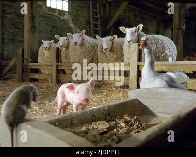 TEMPLETON,WILBUR,SAMUEL,GUSSY,GOLLY, CHARLOTTE'S WEB, 2006, Banque D'Images