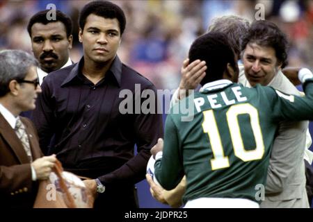 ALI,PELE, UNE FOIS DANS UNE VIE: L'HISTOIRE EXTRAORDINAIRE DE LA NOUVELLE YORK COSMOS, 2006, Banque D'Images