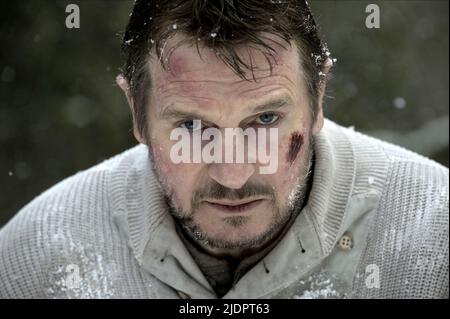 LIAM NEESON, LE GRIS, 2011, Banque D'Images