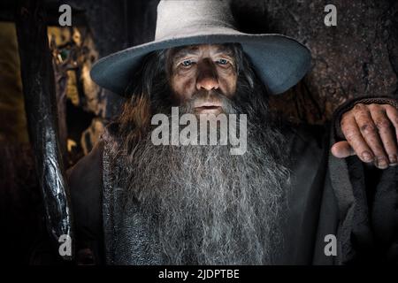 IAN MCKELLEN, LE HOBBIT: LA DÉSOLATION DE SMAUG, 2013, Banque D'Images