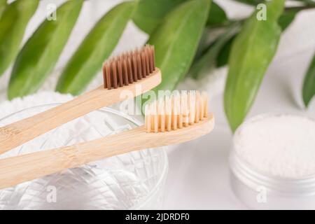 Deux brosses à dents en bambou avec de la poudre minérale kaolin dans un contenant d'alu contre les feuilles vertes comme arrière-plan. Produits de bain naturels, dentifrice bio Banque D'Images