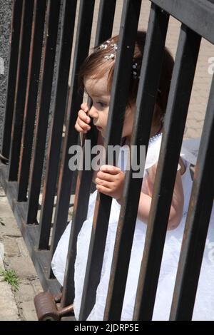 Une petite fille sort de derrière une clôture. Une petite fille en robe blanche regarde sur la clôture en fer du parc Banque D'Images