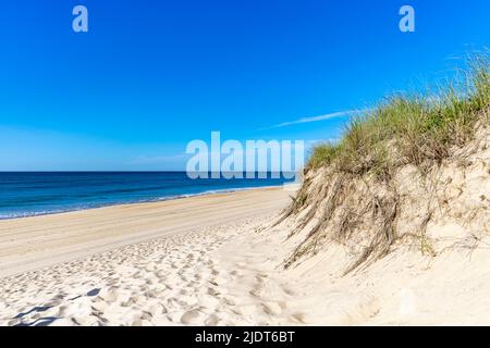 Plage de l'océan, Kirk Beach, Montauk Banque D'Images