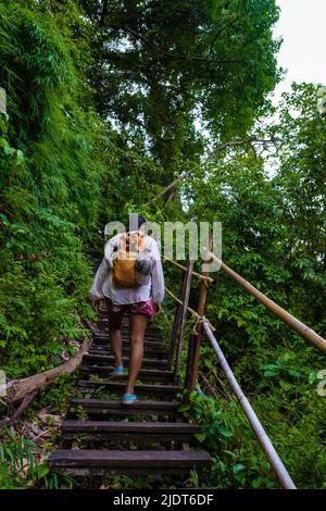 Aonang Krabi Thaïlande, sentier de singe à Krabi Thaïlande qui mène à la plage de Pai Plong. Krabi Thaïlande Banque D'Images