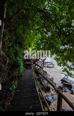 Aonang Krabi Thaïlande, sentier de singe à Krabi Thaïlande qui mène à la plage de Pai Plong. Krabi Thaïlande Banque D'Images