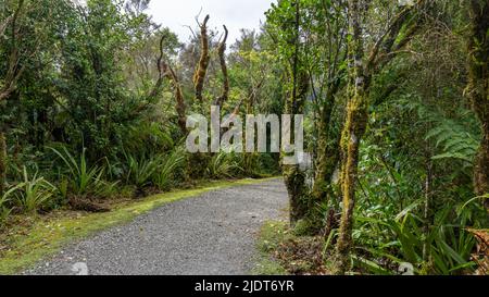 Sentier de randonnée en Nouvelle-Zélande Banque D'Images