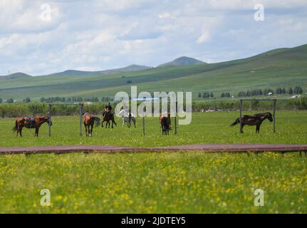 (220623) -- LIGUE HINGGGAN, 23 juin 2022 (Xinhua) -- les touristes voyagent à cheval à la prairie d'Ulan Mod dans l'aile droite de Horqin bannière avant de la Ligue Hinggan, région autonome de l'intérieur de la Mongolie, au nord de la Chine, 23 juin 2022. (Xinhua/Liu Lei) Banque D'Images
