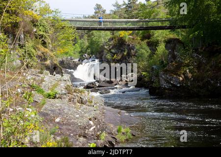 Passerelle au-dessus des chutes Rogie (gaélique : EAS Rothagaidh), cascades sur l'eau Noire, rivière à Ross-shire dans les Highlands d'Écosse. Banque D'Images