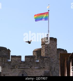 Westgate Medieval Gatehouse Canterbury Kent Angleterre Royaume-Uni avec un drapeau arc-en-ciel pour le mois de la gay Pride et un pigeon volant avec des ailes déployées juin 2022 Banque D'Images