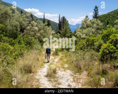 Marche à travers les collines couvertes d'oliviers cyprès et de chênes dans l'intérieur montagneux de Lefkada dans les îles Ioniennes de Grèce Banque D'Images