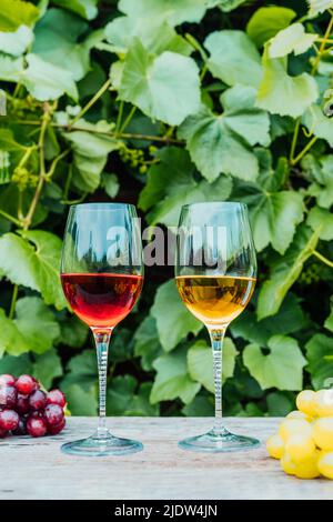 Verres avec vin blanc et rouge et baies de raisin sur la table en bois dans les vignobles, cave avec feuilles vertes. Dégustation de vins, Degustation Banque D'Images
