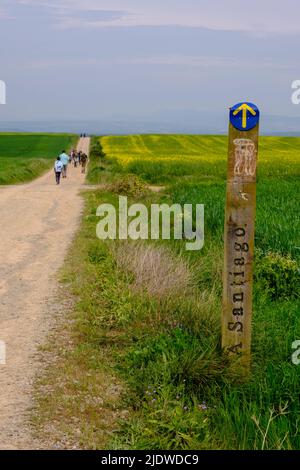 Espagne, district de Rioja. Marqueur de sentier sur le Camino de Santiago approchant Saint-Domingue de la Calzada. Banque D'Images