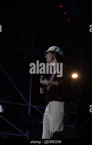 3 janvier 2008, Naples, Italie: Ariete est un chanteur-compositeur italien à Naples à l'occasion du ''Pizza Village 2022'', le concert a également eu le Psicologi comme invités. (Credit image: © Arianna Di Micco/Pacific Press via ZUMA Press Wire) Banque D'Images