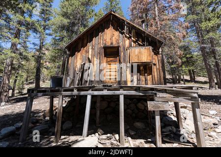 Chalet abandonné à la mine d'or sur les terres de la forêt nationale près des lacs Mammoth dans les montagnes de la Sierra Nevada de Californie. Banque D'Images