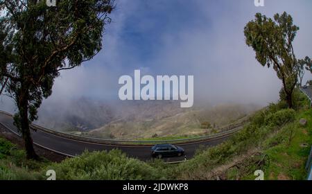 Vue panoramique depuis le sommet du parc naturel de Tamadaba avec des collines verdoyantes, des montagnes de forêt avec des nuages bas une pluie fréquente Gran Canaria, îles Canaries, Espagne Banque D'Images