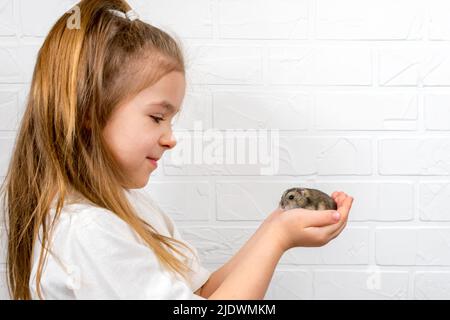 Une jolie petite fille dans un t-shirt blanc peut contenir un Hamster dzungarien dans ses bras Banque D'Images