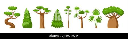 Ensemble plat arbres verts. Baobab palmier dracaena, sapin de pin de séquoia, parc forestier de l'épinette de cyprès panneau végétal Illustration de Vecteur