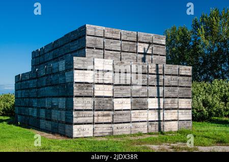 Grande pile de caisses en bois à l'extérieur Banque D'Images