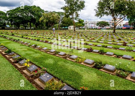 Des rangées de parcelles de cimetière par un grand arbre dans un mémorial thaïlandais des prisonniers de guerre de WW ll. Banque D'Images