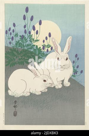 Lapins en pleine lune, deux lapins blancs en paysage vallonné avec plantes à fleurs violettes, en pleine lune., imprimeur: Ohara Koson, (mentionné sur l'objet), Maeda, (mentionné sur l'objet), imprimeur: Komatsu Wasakichi, (Mentionné sur l'objet), imprimeur: Japon, imprimeur: Japon, éditeur: Tokyo, 1920 - 1930, papier, couleur coupe de bois, hauteur 362 mm × largeur 241 mm Banque D'Images