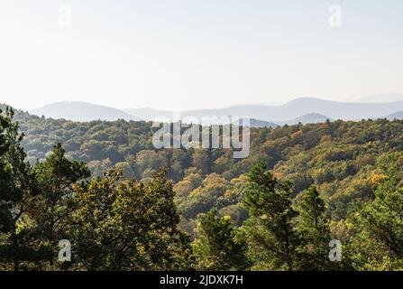 Allemagne, Rhénanie-Palatinat, vue de la forêt du Palatinat à l'automne Banque D'Images