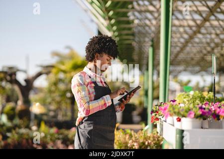 Jardinier utilisant un PC tablette à la pépinière Banque D'Images