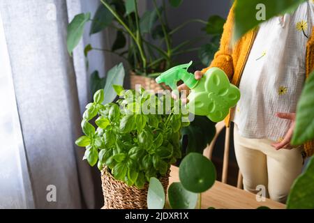 Fille pulvérisant de l'eau sur les plantes de maison à la maison Banque D'Images