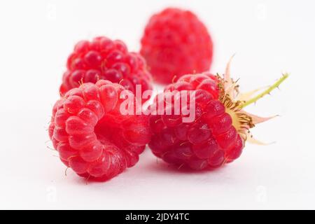 Framboise avec feuilles. Framboise isolée sur fond blanc. Banque D'Images