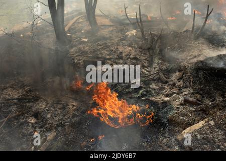 Combustion d'une décharge illégale. Fumée et feu. Feu dans la rue. Banque D'Images