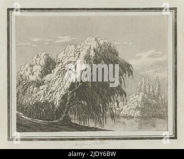 Weeping saule, Imprimer de l'album en cassette avec quatorze études en vernis mou et aquatint de différents types d'arbres., imprimeur: John Robert Cozens, (mentionné sur l'objet), Londres, 1789, papier, hauteur 240 mm × largeur 315 mm Banque D'Images