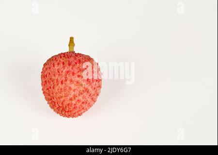 Un seul fruit Litchi sur fond blanc Banque D'Images