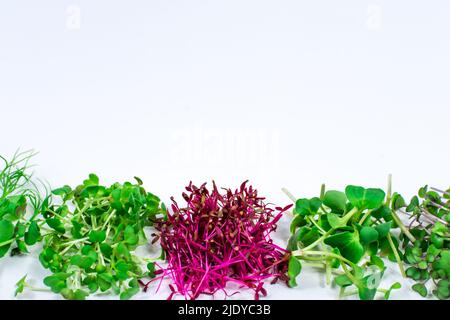 Pousses de radis, moutarde, arugula, pois, amaranth en assortiment sur fond blanc. Copier l'espace. Place pour une inscription. Vegan et Banque D'Images