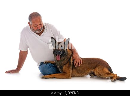 berger belge et homme devant un fond blanc Banque D'Images