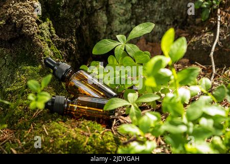 Deux récipients cosmétiques marron en verre avec pipette sont placés sur fond de forêt naturelle. Concept de cosmétiques naturels biologiques, santé de la peau. S Banque D'Images