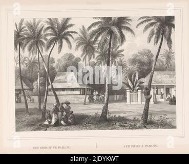 Rue et maisons à Padang, Une vue à Padang (titre sur objet), Sumatra (titre de série sur objet), Gezigten uit Neêrlands Indië (titre de série sur objet), entre les arbres les hommes se tiennent et s'assoient ensemble. Sur la droite, un homme escalade un palmier. Numéroté en haut à gauche : PL. XLIX. L'imprimé fait partie d'une couverture de sept pages., imprimerie: Paulus Lauters, (mentionné sur l'objet), après conception par: Charles William Meredith van de Velde, (mentionné sur l'objet), imprimeur: Frans Buffa en Zonen, (mentionné sur l'objet), imprimerie: Bruxelles, après conception par: Indonésie, imprimeur: Amsterdam, 1843 - 1845, hauteur du papier, 51 Banque D'Images