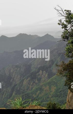 vue panoramique sur les collines de palani ou les montagnes de palani, (partie sud de la chaîne de montagnes de ghats occidentaux) de kodaikanal à tamilnadu, inde Banque D'Images