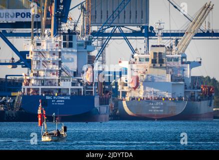 Rostock, Allemagne. 24th juin 2022. Les navires de cargaison 'BBC Rushmore' (l) et 'Azteca' (r) sont déchargés au port maritime. Des experts se réunissent à Rostock pour le dialogue sur le développement portuaire de 10th avec le coordonnateur de l'économie maritime et du tourisme. Credit: Jens Büttner/dpa/Alay Live News Banque D'Images