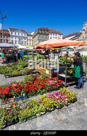 Spalicek a kasna Parnas, Zelny trh, Brno, Ceska republika / marché sur Zelny trh, ville de Brno, Moravie, République Tchèque Banque D'Images