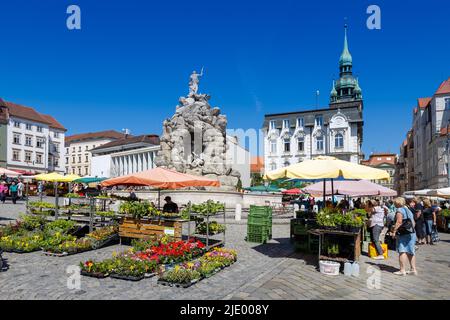 Spalicek a kasna Parnas, Zelny trh, Brno, Ceska republika / marché sur Zelny trh, ville de Brno, Moravie, République Tchèque Banque D'Images