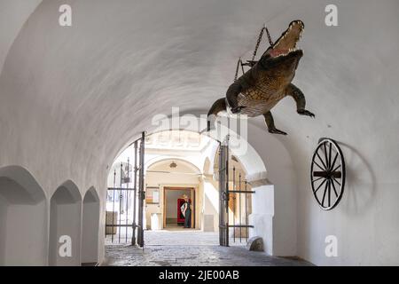 Symbole města, Stara radnice z 13. stol., Brnensky drak, Brno, Ceska republika / symbole de la ville - dragon, ancienne mairie, Brno, Moravie, repub tchèque Banque D'Images