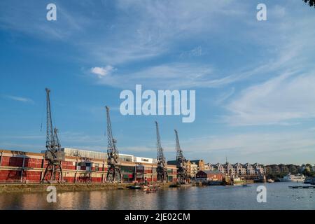 Grues, bateaux à ramer et le mShed dans la zone portuaire flottante de Bristol lors d'une soirée d'été ensoleillée. Banque D'Images