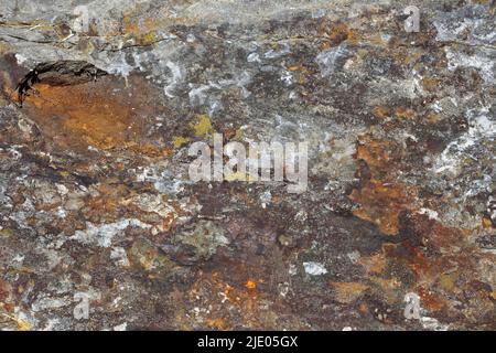 Motif en pierre, province de Québec, Canada Banque D'Images